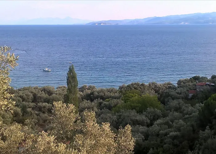 Dodis Village Летний дом